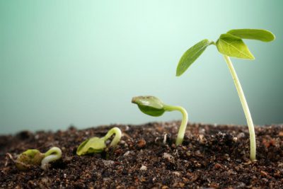 measuring financial progress