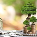 Stock Market Investments
